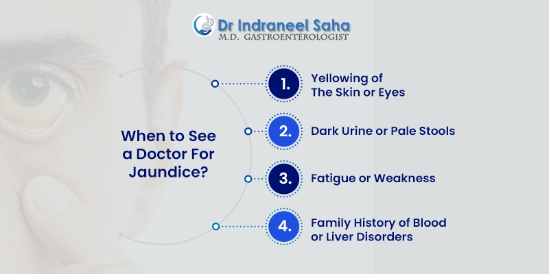 doctor for jaundice
